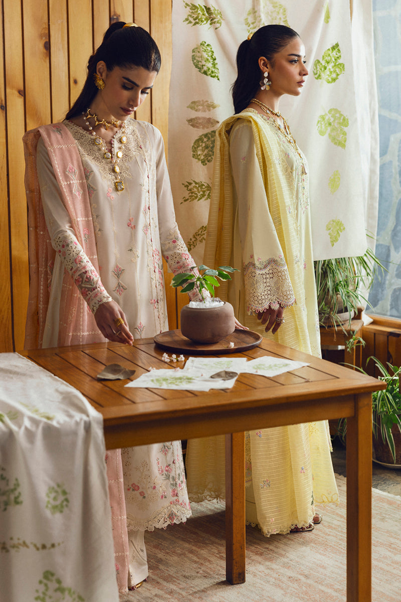 Qalamkar - Qlinekari Summer Collection 2025 - DC-04 Keva