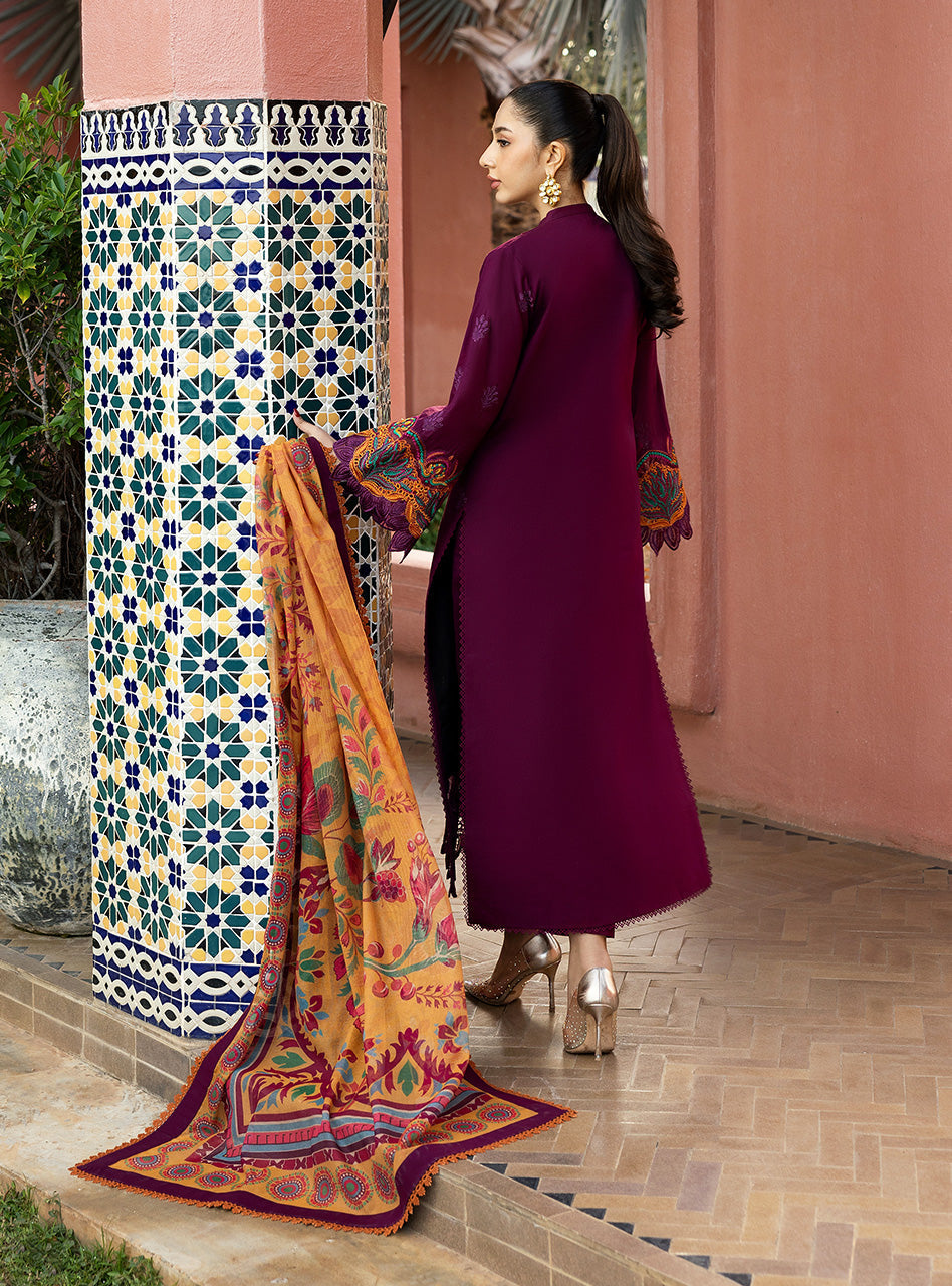 Zainab Chottani - Chikankari Collection 2025 - Nia - 6B