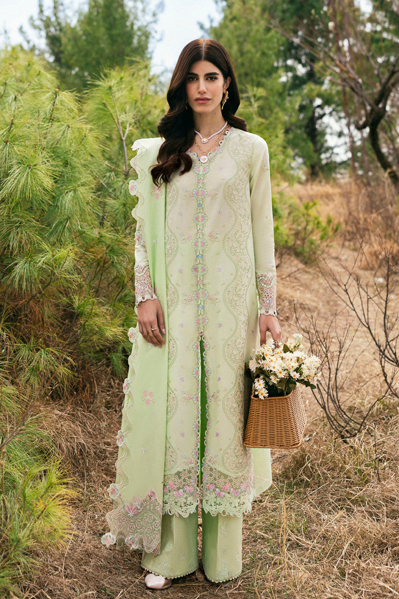 Qalamkar - Qlinekari Summer Collection 2025 - DC-14 Meline
