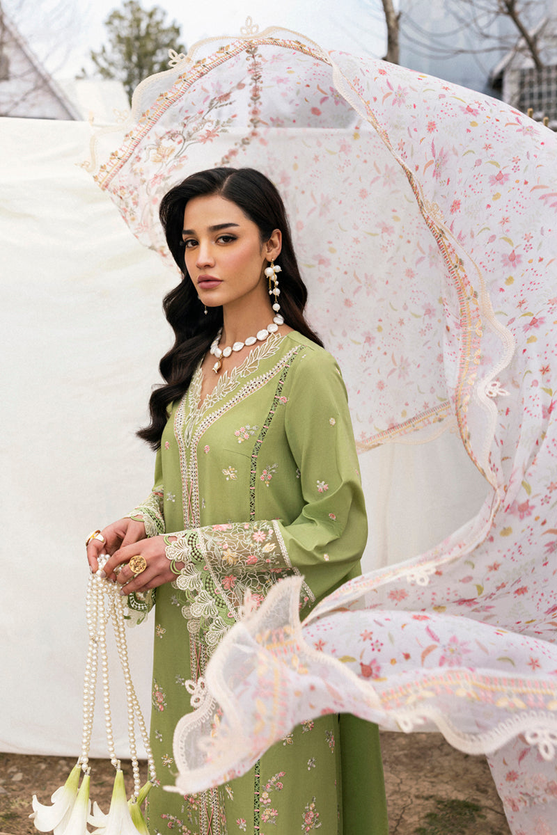 Qalamkar - Qlinekari Summer Collection 2025 - DC-01 Lovisa